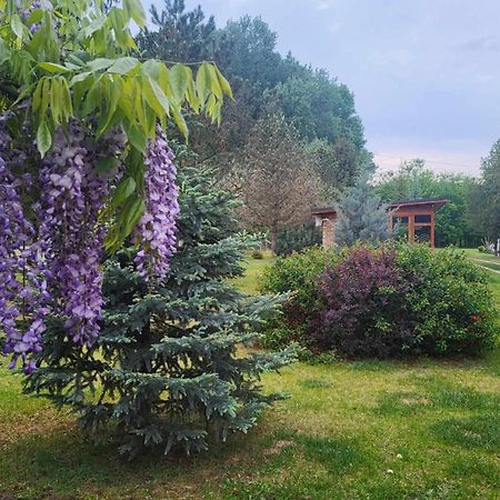 Villa Gyömbér Tanya Ásotthalom Esterno foto