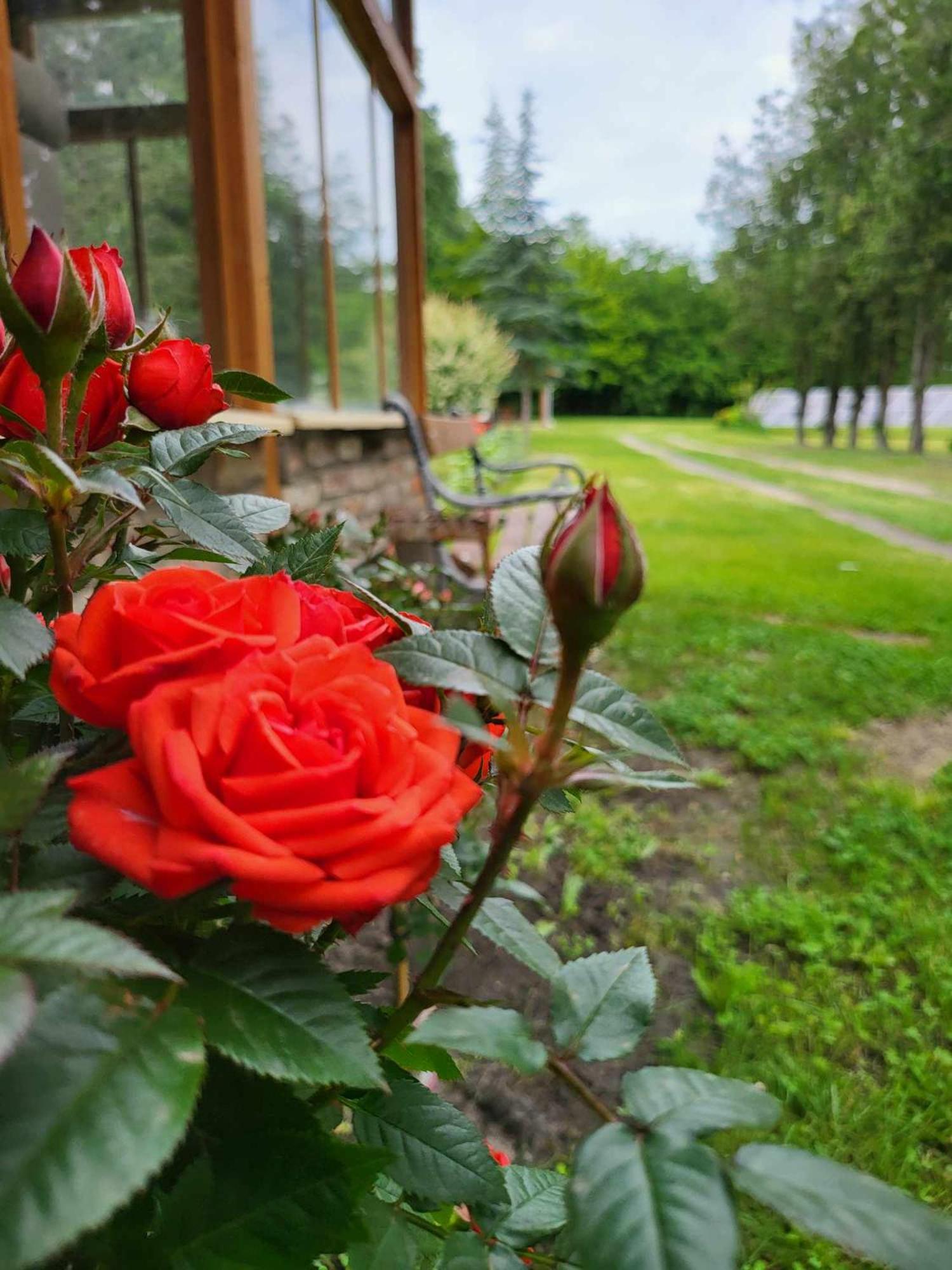 Villa Gyömbér Tanya Ásotthalom Esterno foto