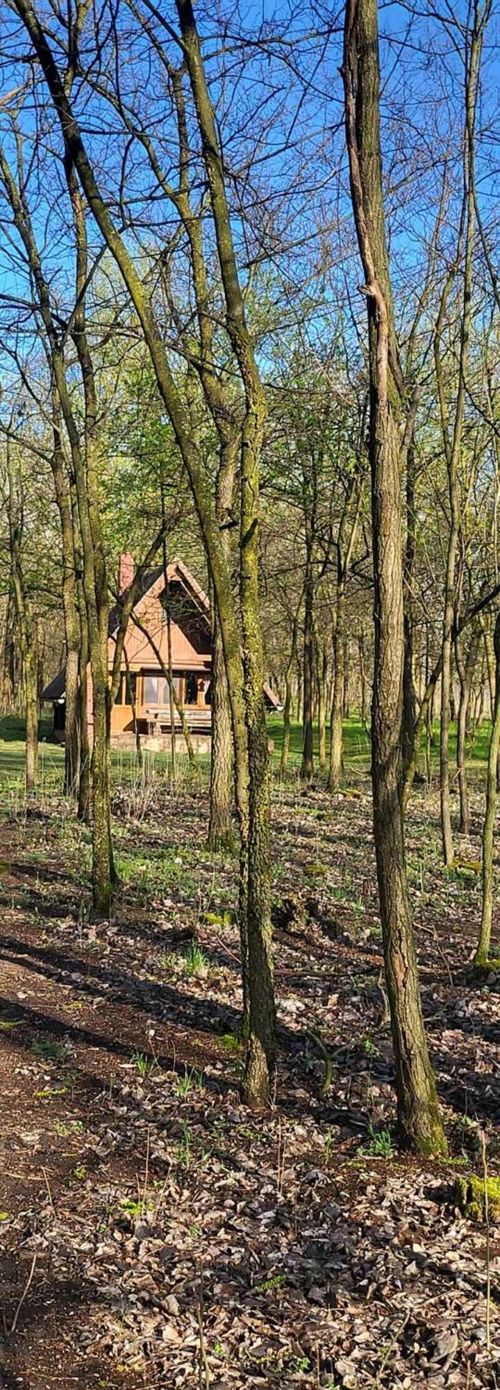 Villa Gyömbér Tanya Ásotthalom Esterno foto