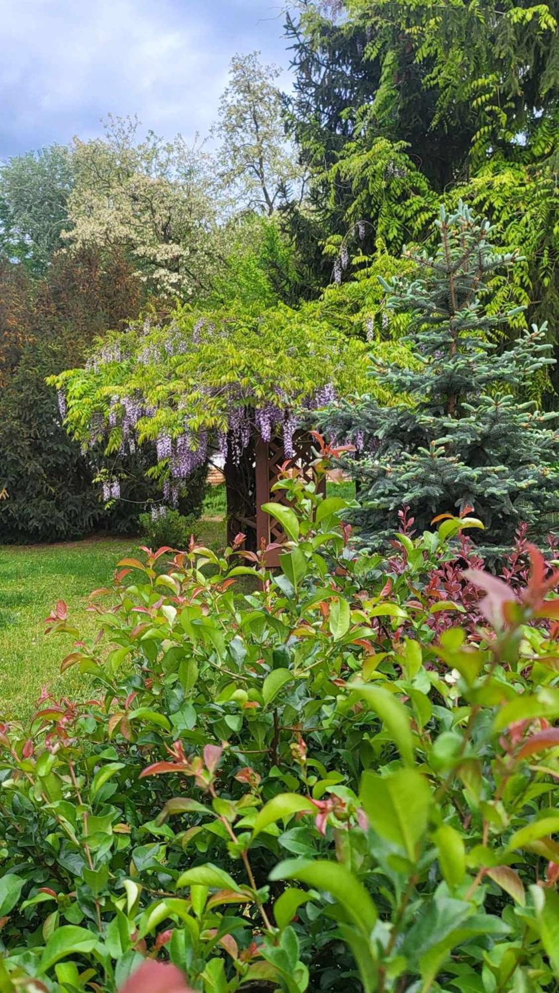Villa Gyömbér Tanya Ásotthalom Esterno foto