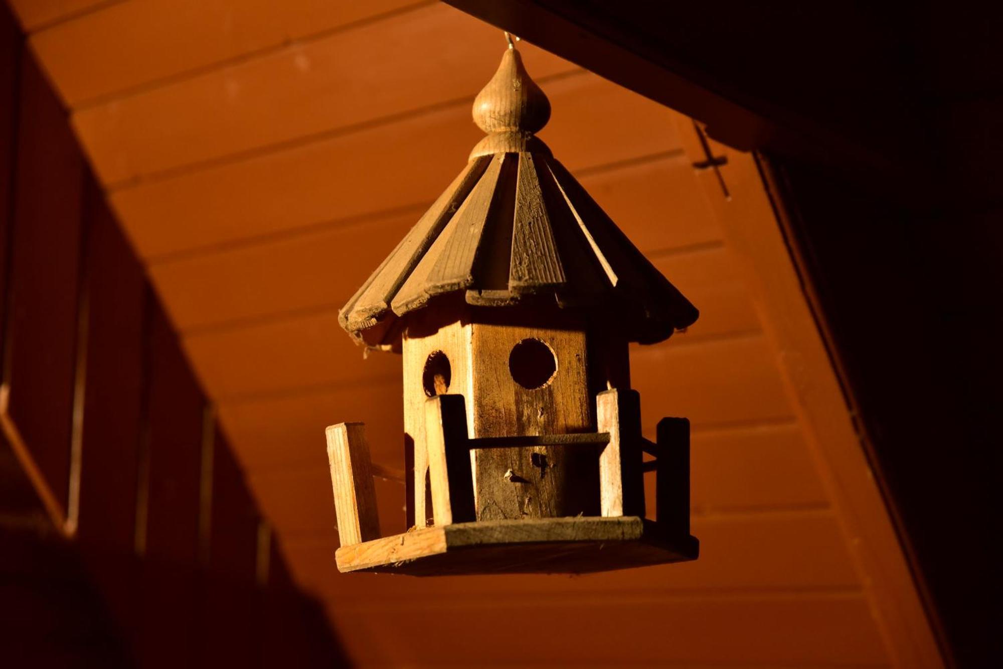 Villa Gyömbér Tanya Ásotthalom Esterno foto